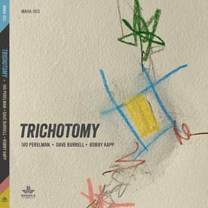 Trichotomy - Ivo Perelman