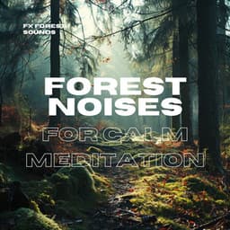 Forest Noises for Calm Meditation - FX Forest Sounds