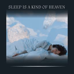 Sleep Is a Kind of Heaven - The Sleep Principle