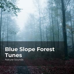 Blue Slope Forest Tunes - Nature Sounds