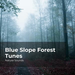 Blue Slope Forest Tunes - Nature Sounds