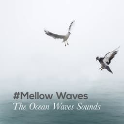 #Mellow Waves - The Ocean Waves Sounds