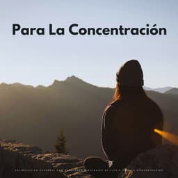 Estimulación Cerebral Con Canciones Binaurales De Lluvia Para La Concentración - Ondas Alfa Ondulantes