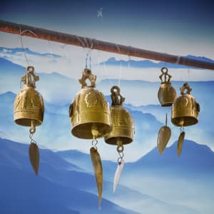 Purification of Thought, Tibetan Bells for Mental Static - Peter Calm