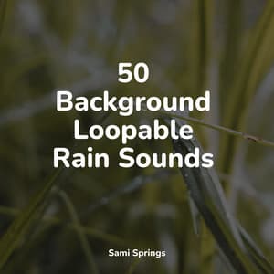 50 Background Loopable Rain Sounds - Fresh Water Sounds For Inner Peace