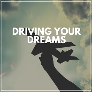 Driving Your Dreams - Insomnia Cure Maestro