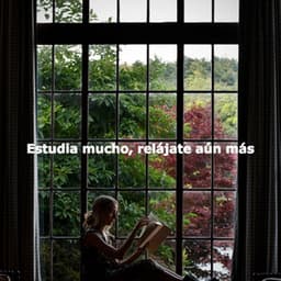 Estudia mucho, relájate aún más - Cafe Musique Francaise