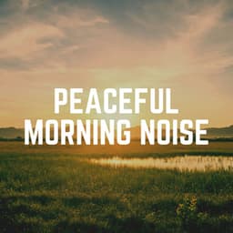 Peaceful Morning Noise - White Noise ASMR