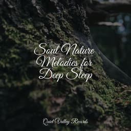 Soul Nature Melodies for Deep Sleep - White Noise Babies