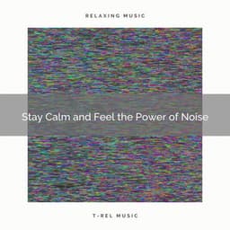 Stay Calm and Feel the Power of Noise - Relaxing Sounds ASMR