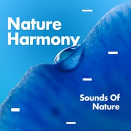 Nature Harmony - Sounds Of Nature
