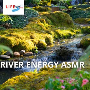 River Energy ASMR - Life River Sound