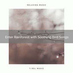! ! ! ! ! ! ! Enter Rainforest with Soothing Bird Songs - Rain Sounds For Sleep