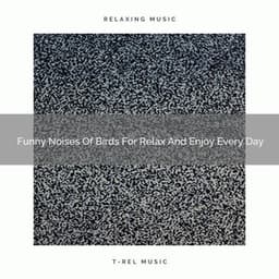 2021 New: Funny Noises Of Birds For Relax And Enjoy Every Day - Baby Hush for Sleep