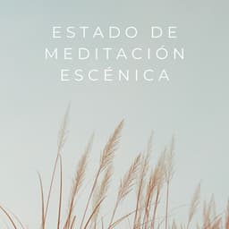 Estado De Meditación Escénica - Flor de Loto