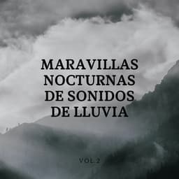 Maravillas Nocturnas De Sonidos De Lluvia Vol.2 - Bonitos ruidos de lluvia