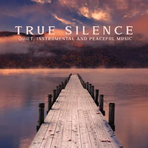 True Silence: Quiet, Instrumental and Peaceful Music - Study Music, Meditation & Sleep Music, Stress Relief, Nature Relaxing Sounds - Natural Zen Meditation White Noise