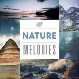 Nature Melodies – Calm Music for Sleep, Healing Sounds, Gentle Rain, Soothing Ocean, Restful Time - The Calming Sounds Of Nature
