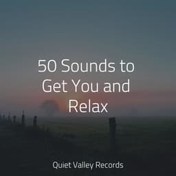 50 Sounds to Get You and Relax - Thunder Storm