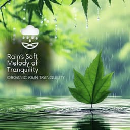 Rain’s Soft Melody of Tranquility - Organic Rain Tranquility