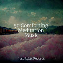 50 Comforting Meditation Music - Dormir