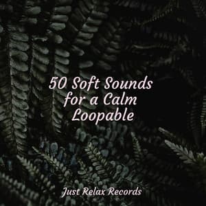 50 Soft Sounds for a Calm Loopable - Musica romantica instrumental