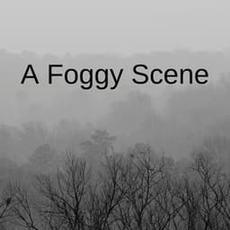 A Foggy Scene - Smart Baby Lullaby
