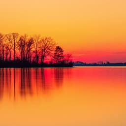 1 Night With White Noise: Tranquil - Focus Noise