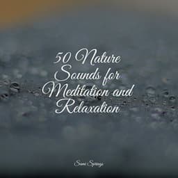 50 Nature Sounds for Meditation and Relaxation - Meditative Music Guru