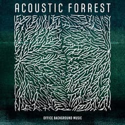 Acoustic Forrest - Office Background Music