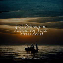#50 Relaxation Album for Total Stress Relief - Relajacion Del Mar