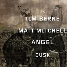 Angel Dusk - Tim Berne