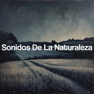 Sonidos De La Naturaleza - Nature Sounds Nature Music