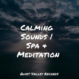 Calming Sounds | Spa & Meditation - Alpha Waves