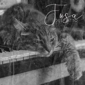 Fusa del gatto: Suoni calmanti del pianoforte, Frequenze di guarigione delle fusa - Musica Relax Academia