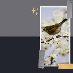 Background Music - Smooth Dinner Music