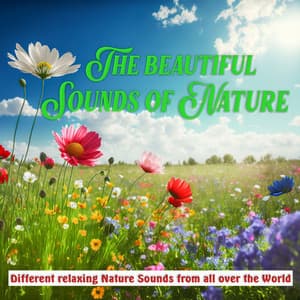 The Beautiful Sounds of Nature - Different Relaxing Nature Sounds from all over the World - Sounds of Nature Noise