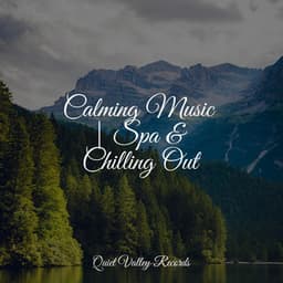 Calming Music | Spa & Chilling Out - Tailormade Ocean Waves
