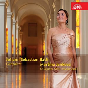 Bach: Cantatas - Johann Sebastian Bach