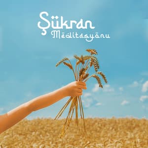 Şükran Meditasyonu - Jesstai Reya