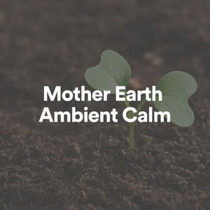 Mother Earth Ambient Calm - Mother Earth Sounds