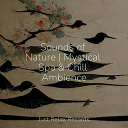 Sounds of Nature | Mystical Spa & Chill Ambience - Nature Sounds Nature Music