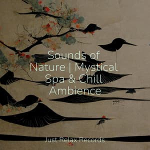 Sounds of Nature | Mystical Spa & Chill Ambience - Nature Sounds Nature Music