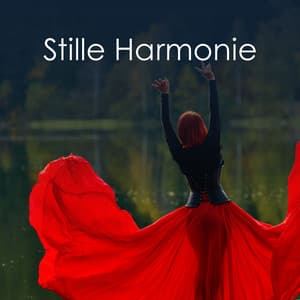 Stille Harmonie - Max Entspannung