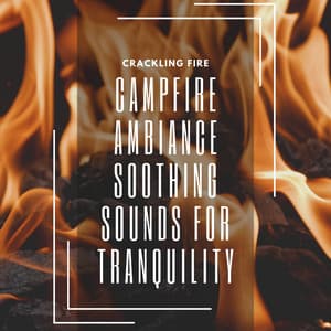 Campfire Ambiance: Soothing Sounds for Tranquility, Meditation, and Calm Nights - Crackling Fire