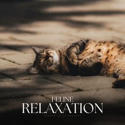 Feline Relaxation - Soothing Cat Music