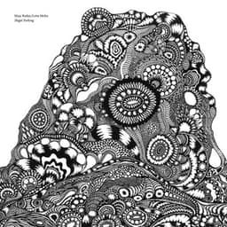 Illegal Parking - Maja Ratkje