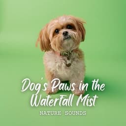 Nature Sounds: Dog's Paws in the Waterfall Mist - Soothing Waterfalls
