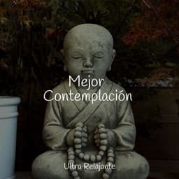 Mejor Contemplación - Meditação Zen