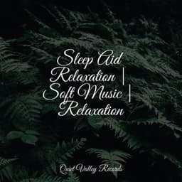 Sleep Aid Relaxation | Soft Music | Relaxation - Internal Yoga